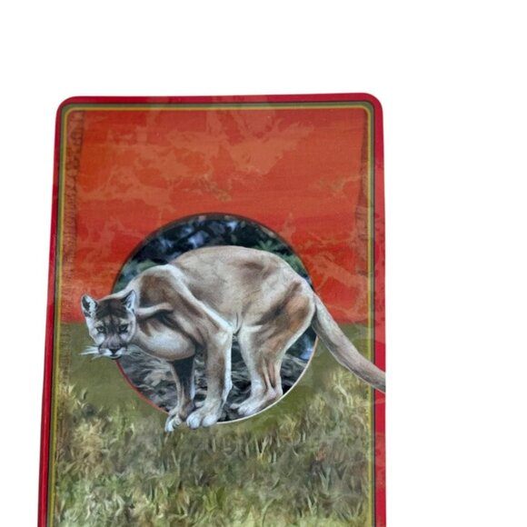 Power Animal Oracle Cards Steven D. Farmer 44-Card Deck No Guidebook - Picture 4 of 5